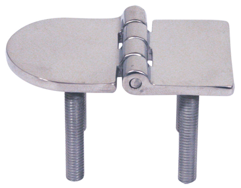 Cast Stainless Steel Flush Hinge - Pair